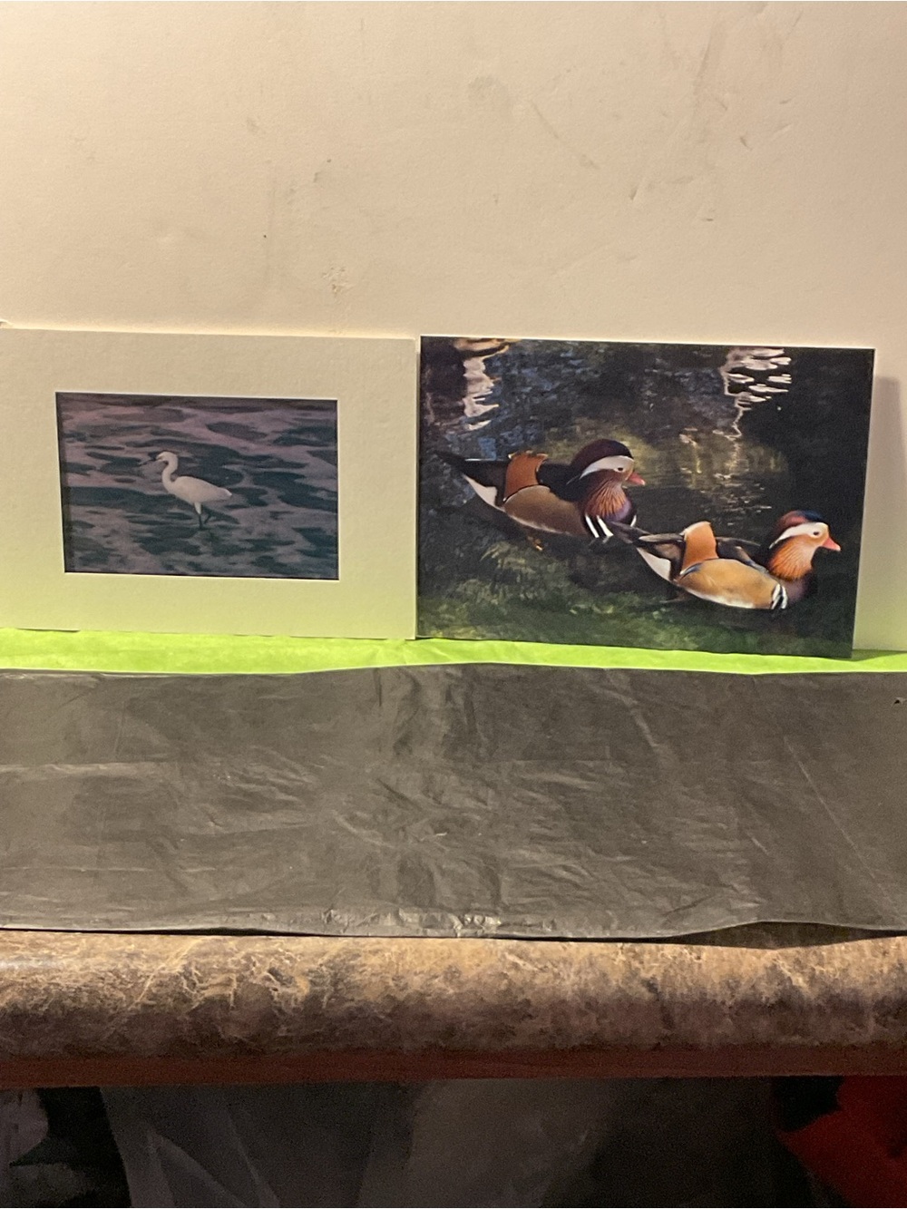 Mandarin Duck and Snowy Egret Art Prints